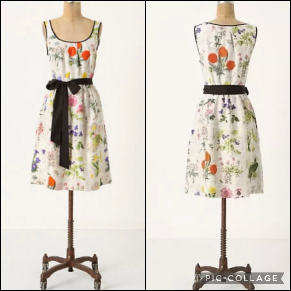 Anthro Moulinette Soeurs 100% Silk Floral Botanical Print A-Line Dress